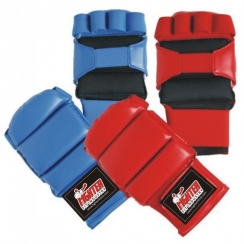 Karate Gloves