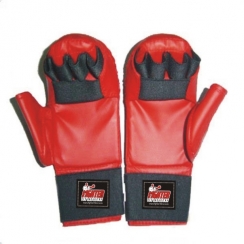 Karate Gloves