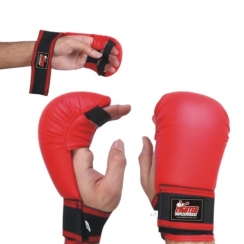 Karate Gloves