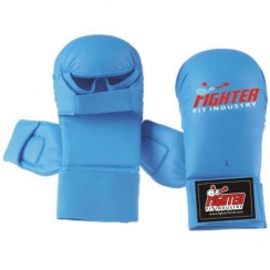 Karate Gloves