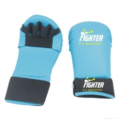 Karate Gloves